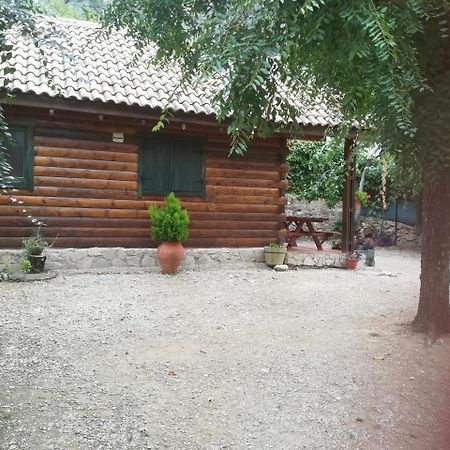 Cabana De Madera La Encina Burunchel Bagian luar foto